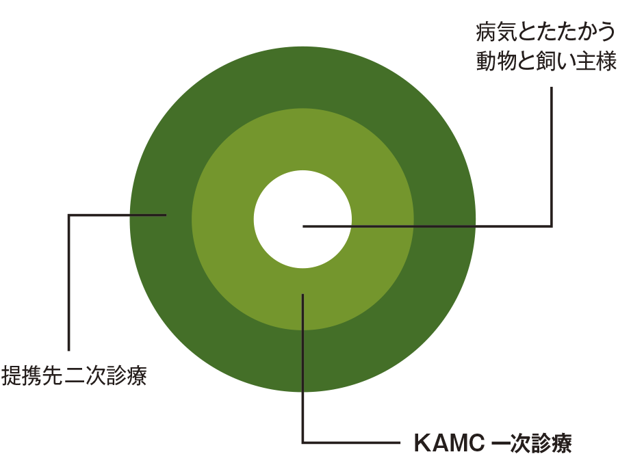 図