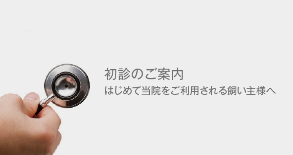 初診のご案内 はじめて当院をご利用なさる飼い主様へ