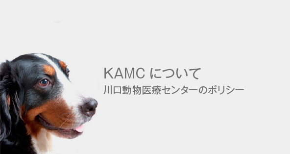 KAMCについて 川口動物医療センターのポリシー