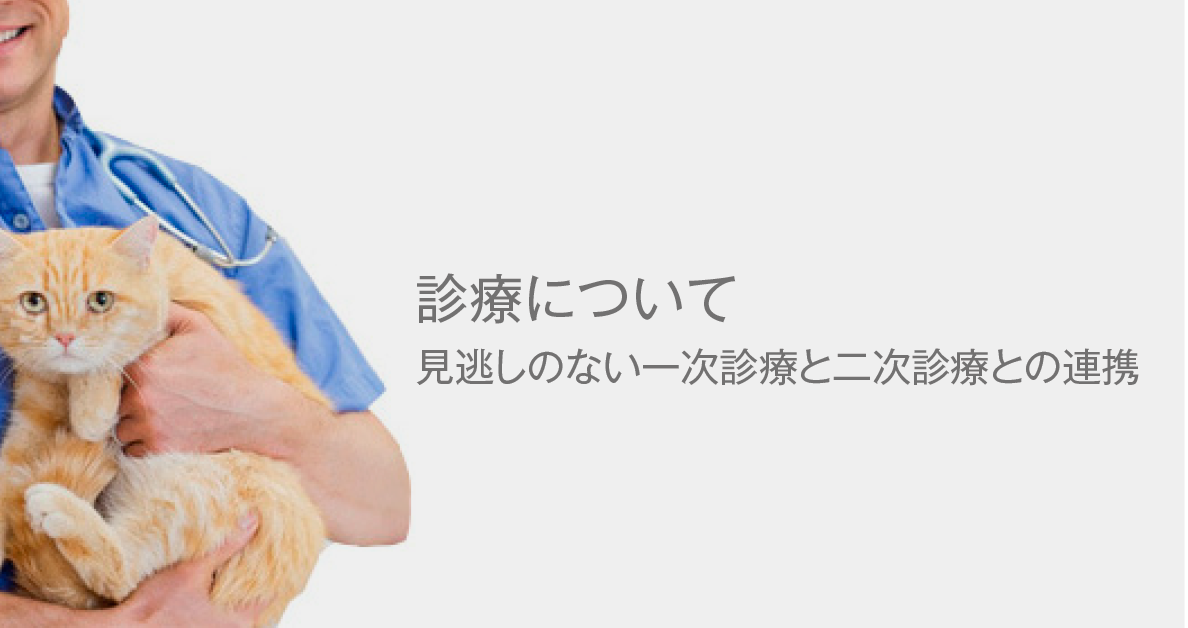 診療について 見逃しのない一次診療と二次診療との連携